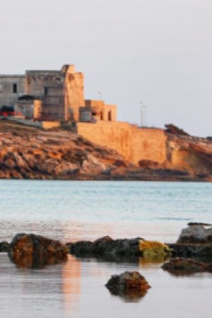Torre Ovo height=